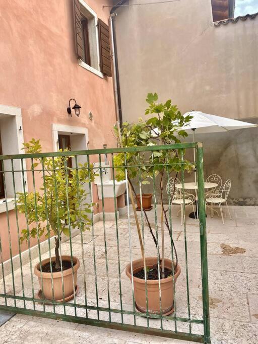 Holiday home Casa Ca Orsa